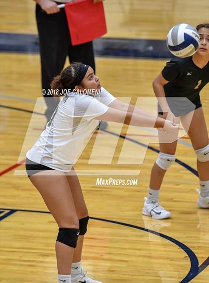 Thumbnail 3 in Edison [Thomas A.] vs Lanier [Sidney] photogallery.