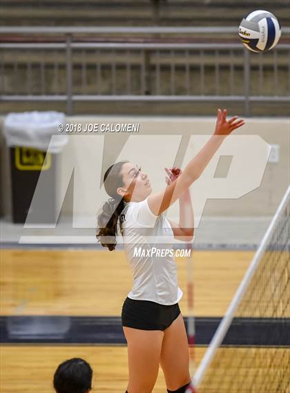 Thumbnail 2 in Edison [Thomas A.] vs Lanier [Sidney] photogallery.