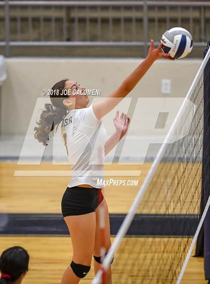 Thumbnail 3 in Edison [Thomas A.] vs Lanier [Sidney] photogallery.