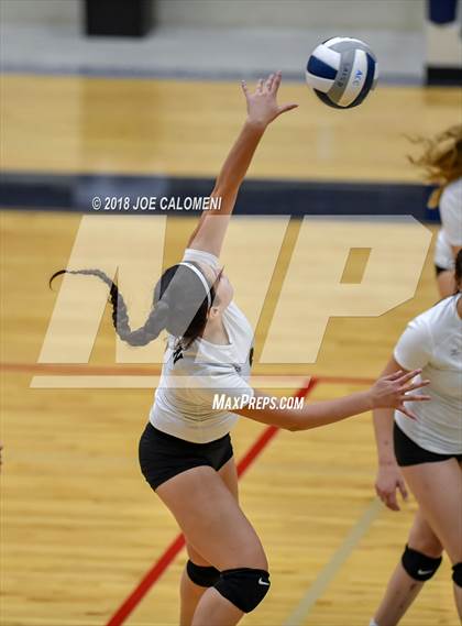 Thumbnail 3 in Edison [Thomas A.] vs Lanier [Sidney] photogallery.