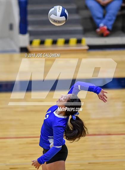 Thumbnail 3 in Edison [Thomas A.] vs Lanier [Sidney] photogallery.