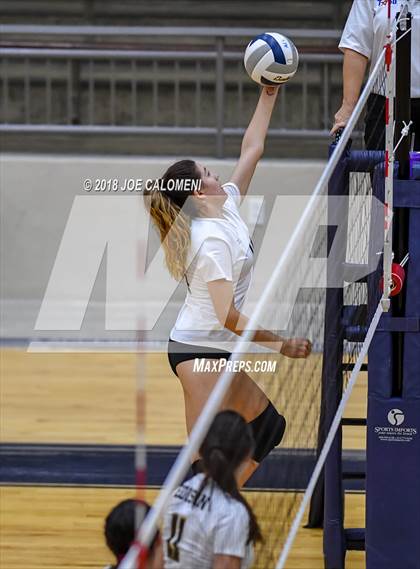 Thumbnail 1 in Edison [Thomas A.] vs Lanier [Sidney] photogallery.