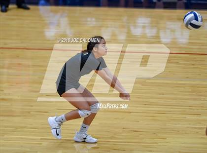 Thumbnail 1 in Edison [Thomas A.] vs Lanier [Sidney] photogallery.