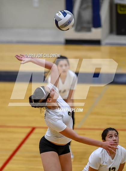 Thumbnail 2 in Edison [Thomas A.] vs Lanier [Sidney] photogallery.