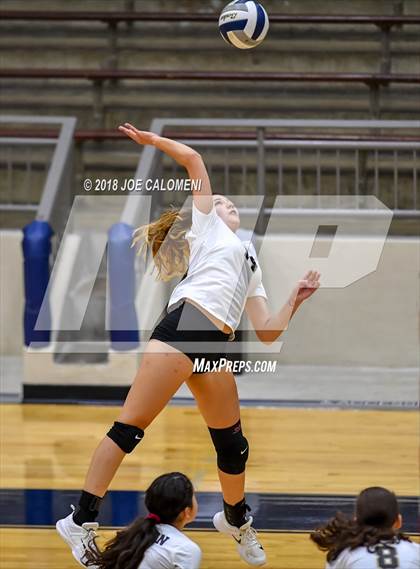 Thumbnail 2 in Edison [Thomas A.] vs Lanier [Sidney] photogallery.