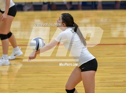 Thumbnail 1 in Edison [Thomas A.] vs Lanier [Sidney] photogallery.