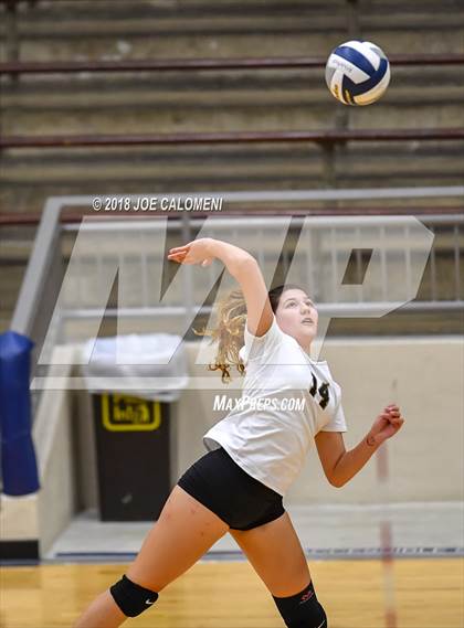 Thumbnail 1 in Edison [Thomas A.] vs Lanier [Sidney] photogallery.