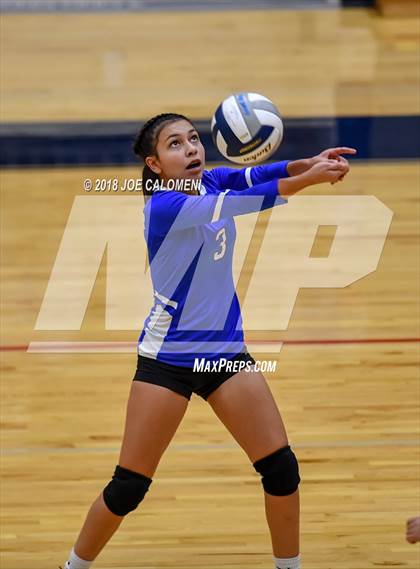 Thumbnail 3 in Edison [Thomas A.] vs Lanier [Sidney] photogallery.