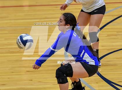 Thumbnail 2 in Edison [Thomas A.] vs Lanier [Sidney] photogallery.