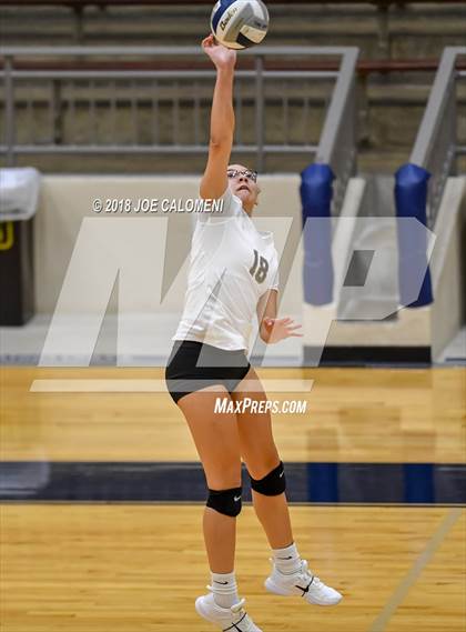 Thumbnail 1 in Edison [Thomas A.] vs Lanier [Sidney] photogallery.