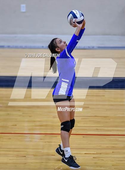 Thumbnail 2 in Edison [Thomas A.] vs Lanier [Sidney] photogallery.
