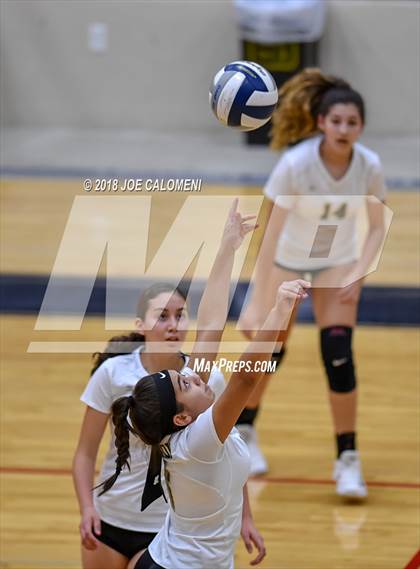 Thumbnail 2 in Edison [Thomas A.] vs Lanier [Sidney] photogallery.