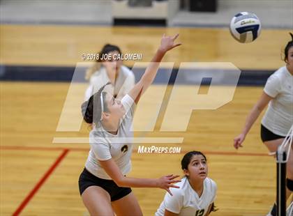 Thumbnail 3 in Edison [Thomas A.] vs Lanier [Sidney] photogallery.