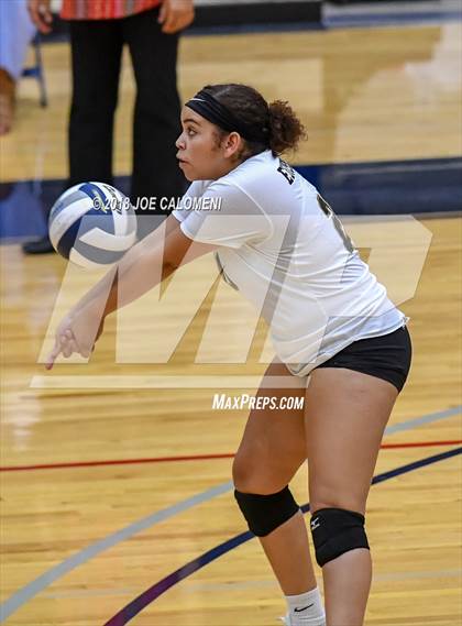 Thumbnail 1 in Edison [Thomas A.] vs Lanier [Sidney] photogallery.