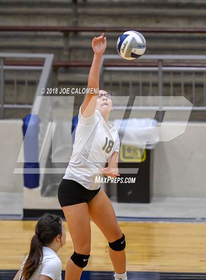 Thumbnail 2 in Edison [Thomas A.] vs Lanier [Sidney] photogallery.