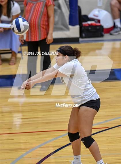 Thumbnail 2 in Edison [Thomas A.] vs Lanier [Sidney] photogallery.