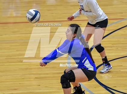 Thumbnail 3 in Edison [Thomas A.] vs Lanier [Sidney] photogallery.