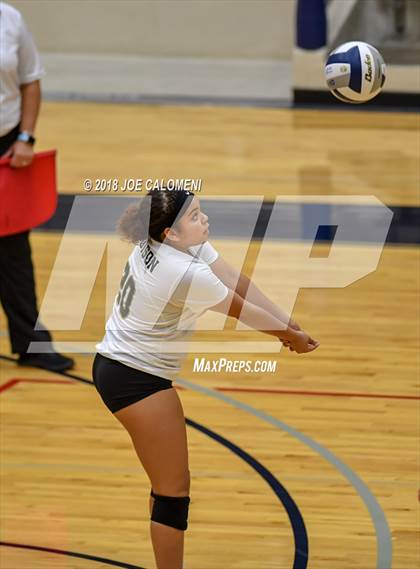 Thumbnail 3 in Edison [Thomas A.] vs Lanier [Sidney] photogallery.