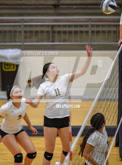 Thumbnail 1 in Edison [Thomas A.] vs Lanier [Sidney] photogallery.