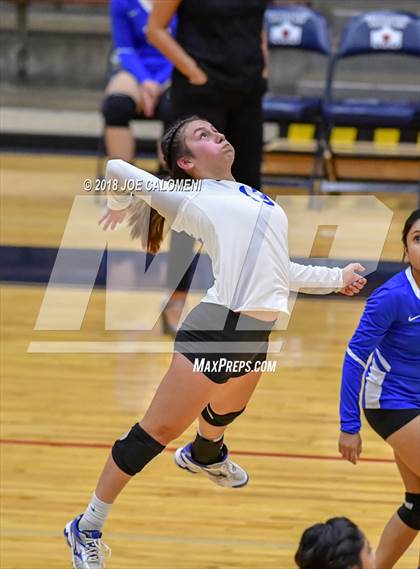 Thumbnail 1 in Edison [Thomas A.] vs Lanier [Sidney] photogallery.