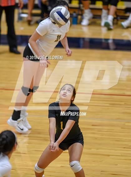 Thumbnail 2 in Edison [Thomas A.] vs Lanier [Sidney] photogallery.