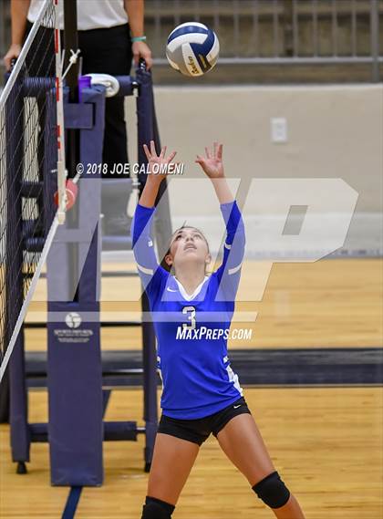 Thumbnail 2 in Edison [Thomas A.] vs Lanier [Sidney] photogallery.