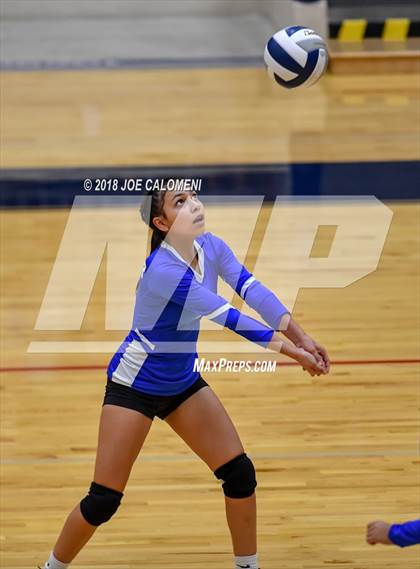 Thumbnail 2 in Edison [Thomas A.] vs Lanier [Sidney] photogallery.