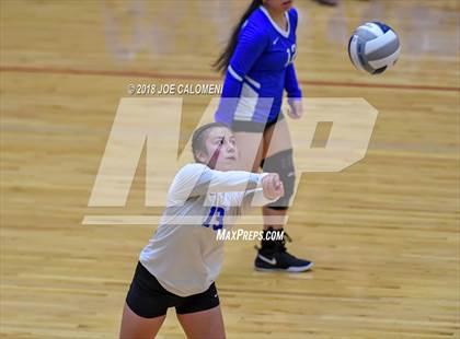 Thumbnail 2 in Edison [Thomas A.] vs Lanier [Sidney] photogallery.