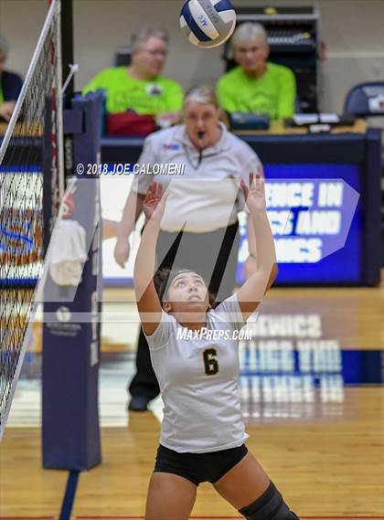 Thumbnail 3 in Edison [Thomas A.] vs Lanier [Sidney] photogallery.