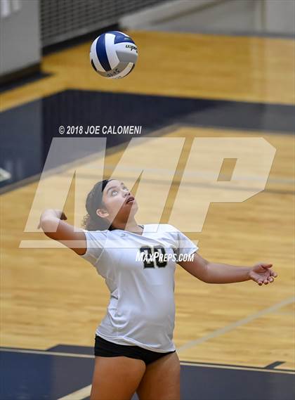 Thumbnail 2 in Edison [Thomas A.] vs Lanier [Sidney] photogallery.