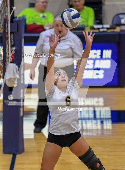Thumbnail 2 in Edison [Thomas A.] vs Lanier [Sidney] photogallery.