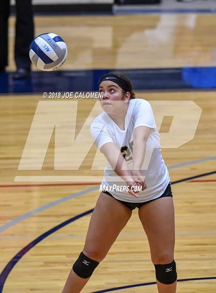 Thumbnail 3 in Edison [Thomas A.] vs Lanier [Sidney] photogallery.
