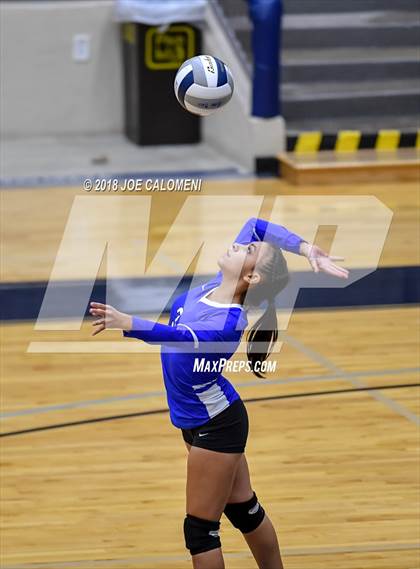 Thumbnail 2 in Edison [Thomas A.] vs Lanier [Sidney] photogallery.