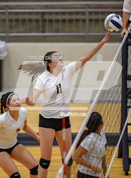 Thumbnail 2 in Edison [Thomas A.] vs Lanier [Sidney] photogallery.