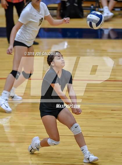 Thumbnail 1 in Edison [Thomas A.] vs Lanier [Sidney] photogallery.