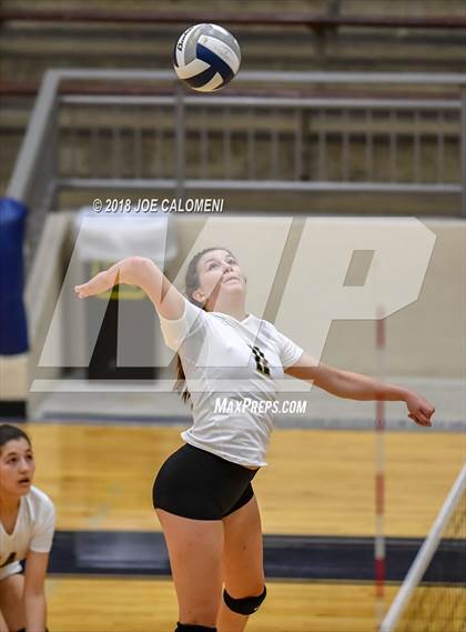 Thumbnail 1 in Edison [Thomas A.] vs Lanier [Sidney] photogallery.