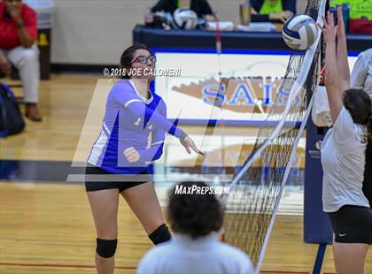 Thumbnail 1 in Edison [Thomas A.] vs Lanier [Sidney] photogallery.