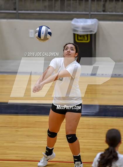 Thumbnail 3 in Edison [Thomas A.] vs Lanier [Sidney] photogallery.