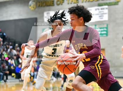 Thumbnail 2 in O'Dea @ Auburn photogallery.