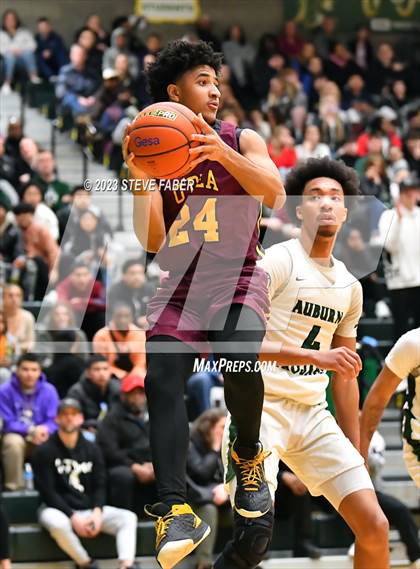 Thumbnail 3 in O'Dea @ Auburn photogallery.