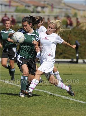 null - Photo 01