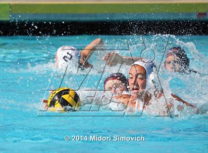 Thumbnail 1 in El Camino @ Rancho Buena Vista photogallery.
