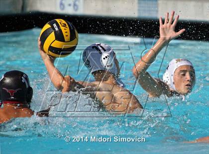 Thumbnail 3 in El Camino @ Rancho Buena Vista photogallery.