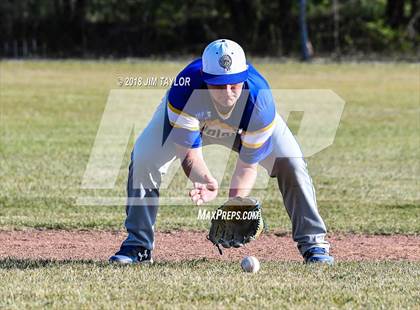 Thumbnail 1 in Mineral Wells @ Lipan photogallery.