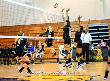 Thumbnail 3 in Havelock @ Croatan photogallery.