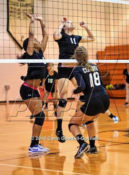 Thumbnail 3 in Havelock @ Croatan photogallery.