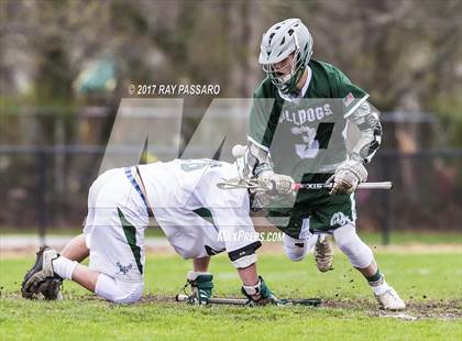 Thumbnail 1 in Lindenhurst @ William Floyd photogallery.