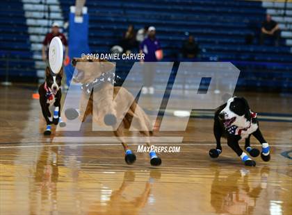 Thumbnail 2 in Tuckahoe vs. Hamilton (Section 1 Class C Final) photogallery.