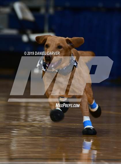 Thumbnail 3 in Tuckahoe vs. Hamilton (Section 1 Class C Final) photogallery.