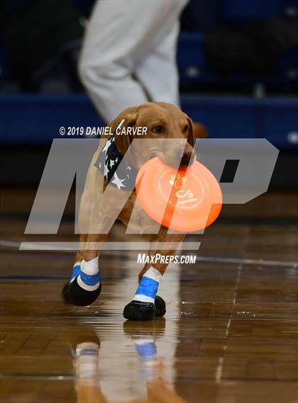 Thumbnail 2 in Tuckahoe vs. Hamilton (Section 1 Class C Final) photogallery.